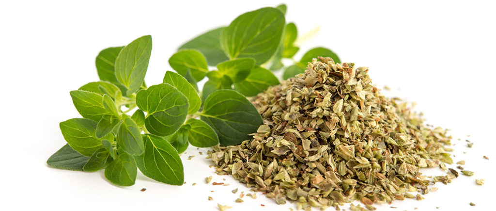 Oregano: Gewürze und Kräuter für den Mann | © emuck - stock.adobe.com